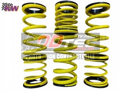 Kit ressorts K&W suspension YAMAHA RAPTOR 660