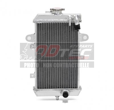 RADIATEUR DE REMPLACEMENT ARP YAMAHA 700R >> 14 =>24