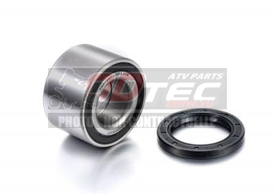 AXLE BEARING KIT RR DS450