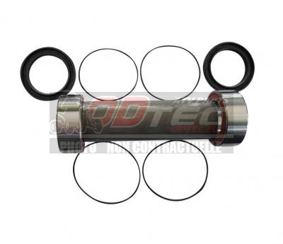Kit reconditionnement complet Excentrique RAPTOR 700 06+