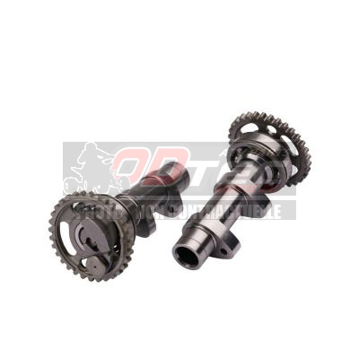 Arbres à cames GYTR - 450 YFZR