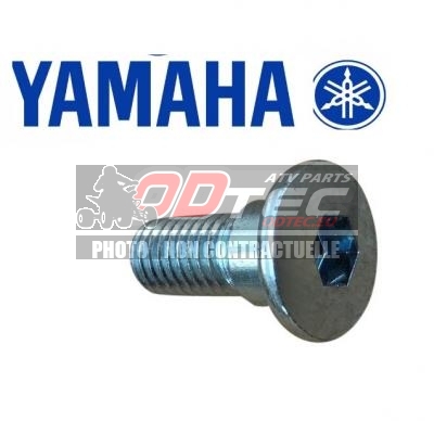 Vis de serrage disque de frein AR RAPTOR 700