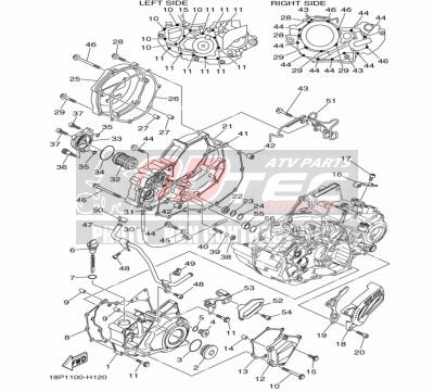 COUVERCLE DE CARTER 1 YAMAHA YFZ450R 09/13