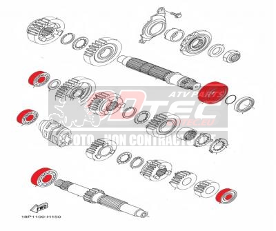 Kit roulements boite YFZ450R