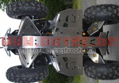 AXP Protection full chassis Renegade 1000