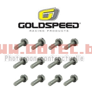 KIT ECROU FRETTE GOLDSPEED PHD M6 x 30 mm (1,00)