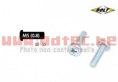 Kit vis M5X0,8X10/15 mm type Phillips Bolt par 10