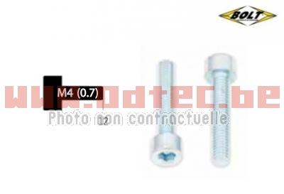 Kit vis M4X0,7X12mm BTR Bolt par 10