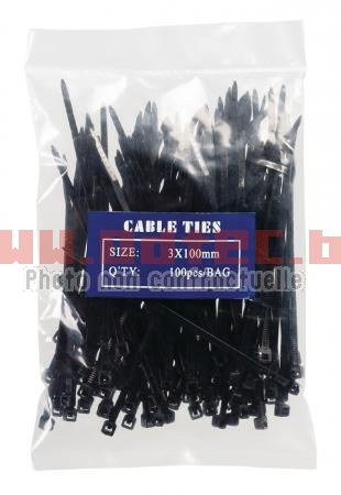 Pack collier Nylon noir 100 mm (COLSONJ/RISELANT)