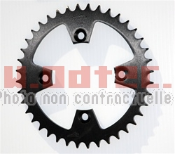 Couronne Can AM DS-450 (38)
