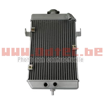 RADIATEUR ECONOMIQUE YAMAHA RAPTOR 660 R