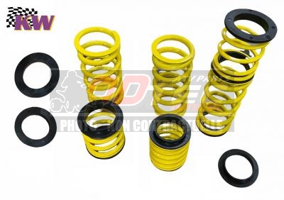 Kit ressorts K&W suspension YAMAHA RAPTOR 700 SPECIAL EDITION 06/08